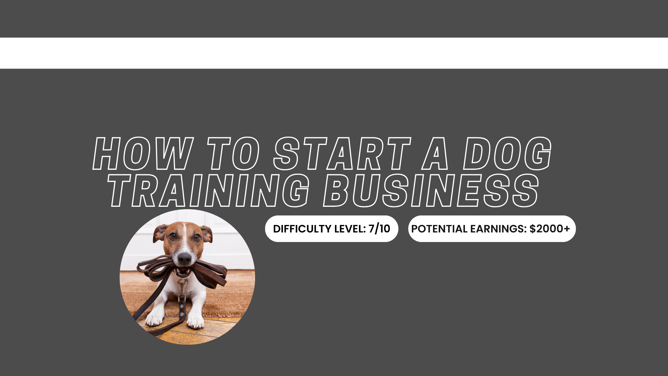 How to Start a Dog Training Business: Tips & Tricks
